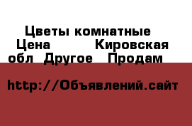 Цветы комнатные › Цена ­ 200 - Кировская обл. Другое » Продам   